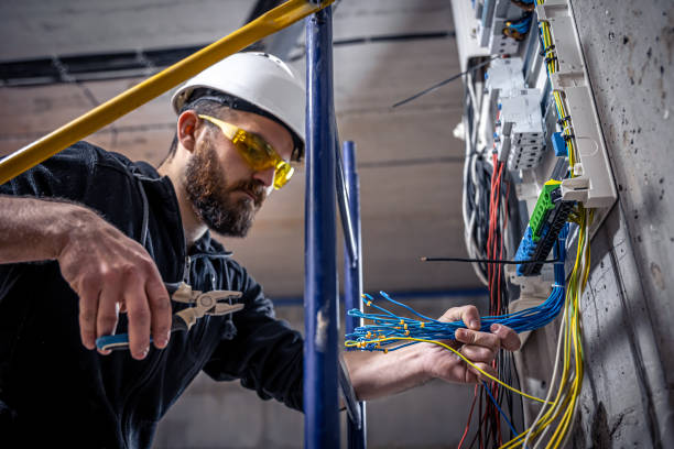 Best Electric Panel Repair  in Oak View, CA